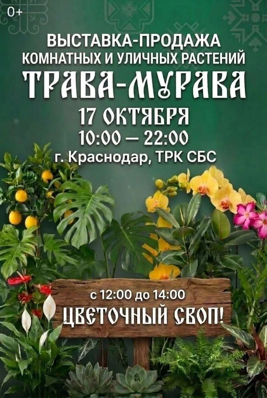 Ботанический маркет «ТРАВА-МУРАВА» в Краснодаре 🌿✨