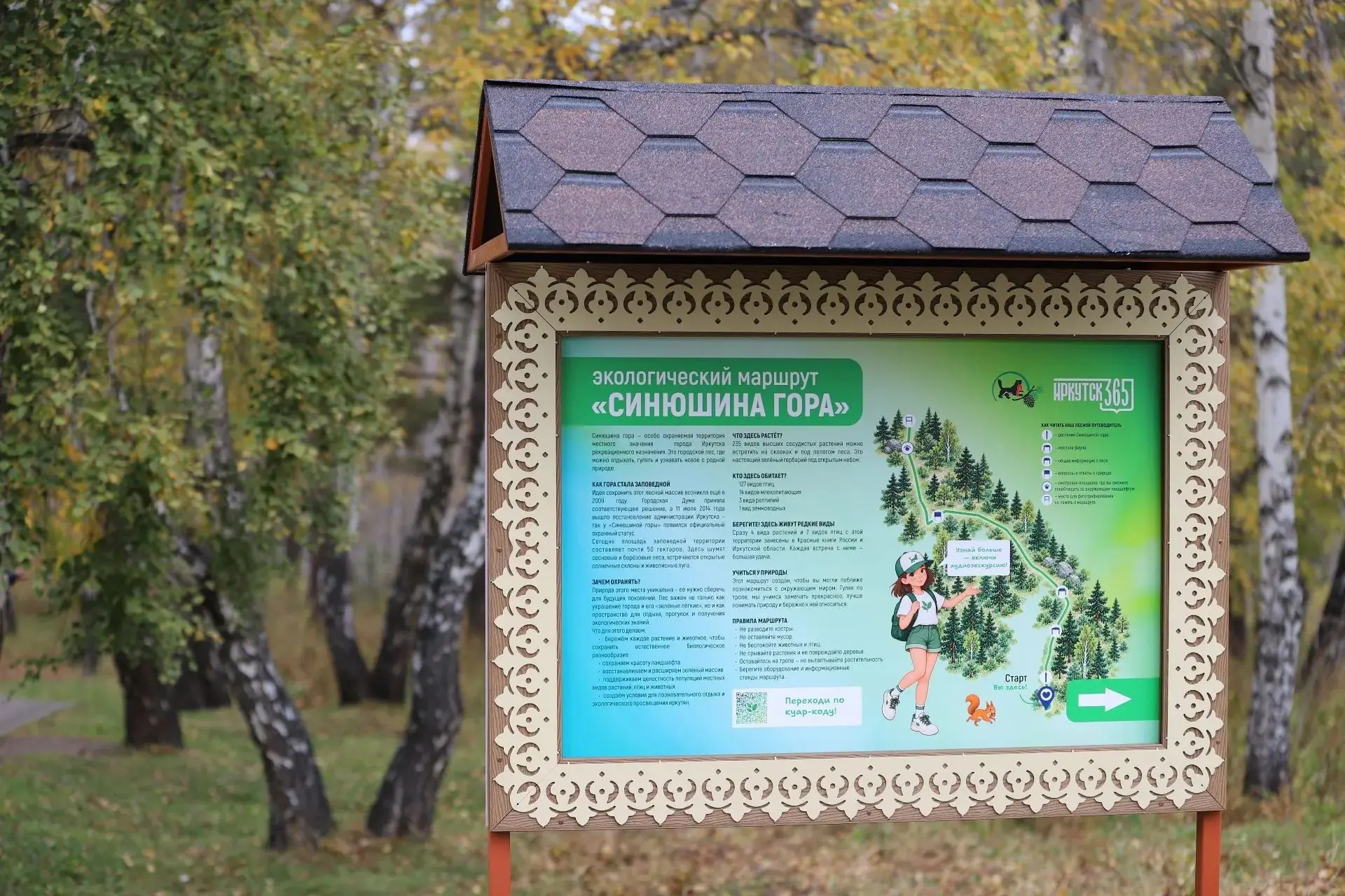 Иркутск становится комфортнее: в роще «Синюшина гора» открылся первый в городе экологич...