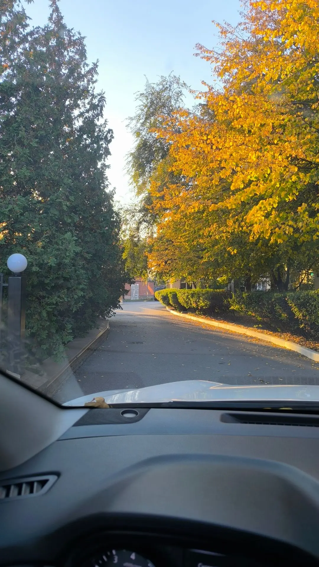 Покров - праздник осенней красоты! 🍂