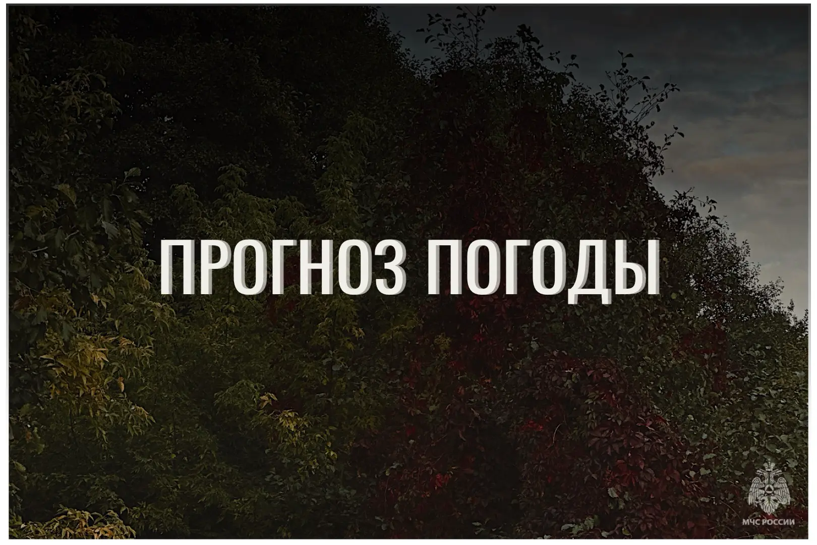 ⛅По данным ЦГМС, 12 октября в регионе прогнозируется облачность.