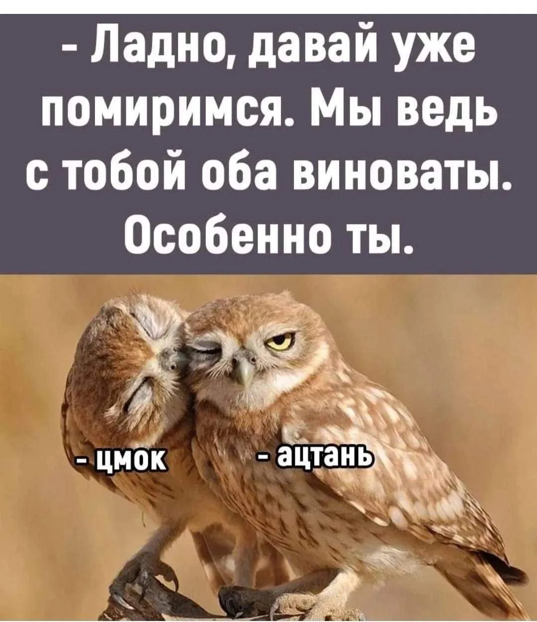 🤣Юмор в картинках