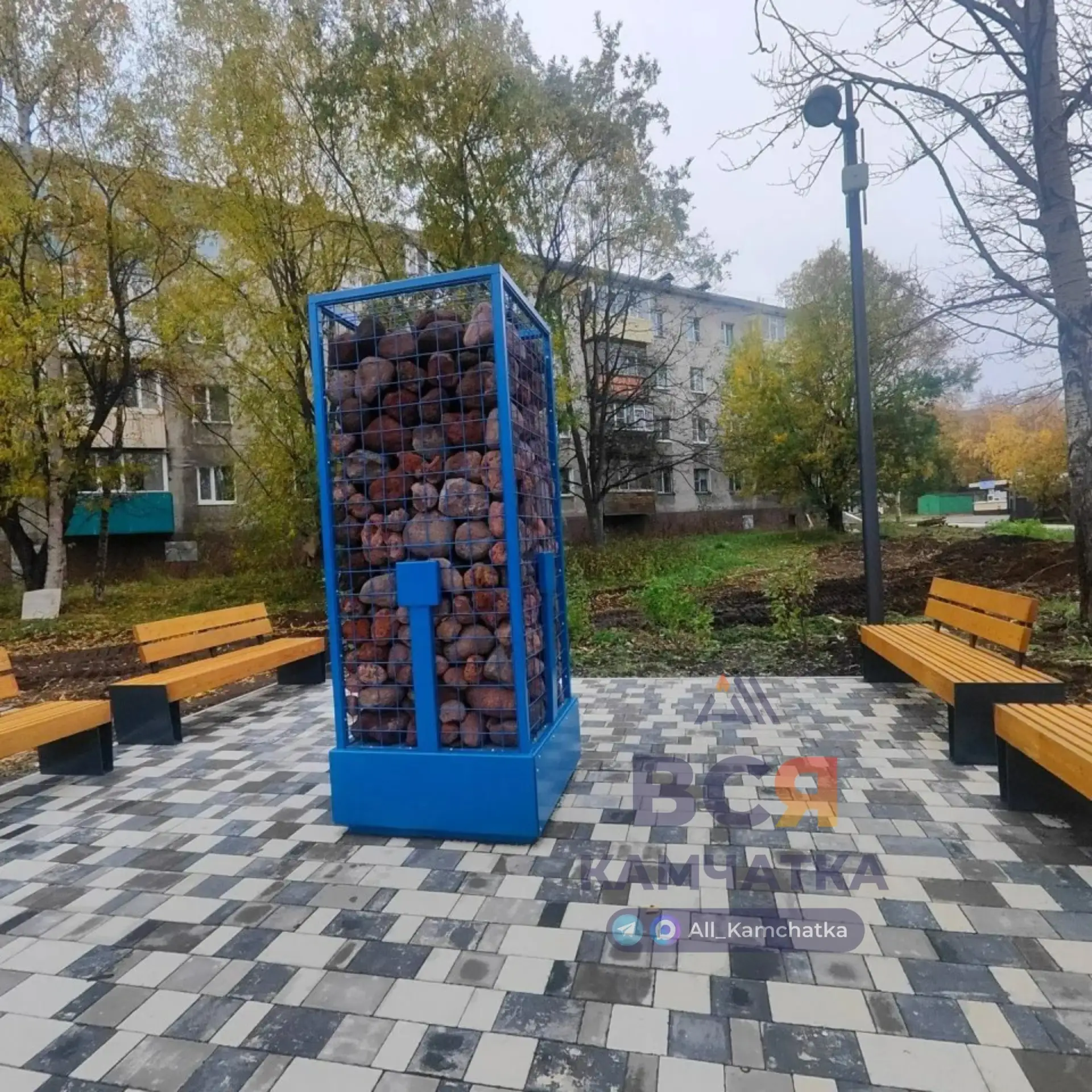 Кто посадил камни в клетку? Они наказаны?