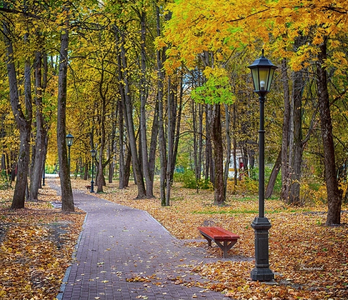 Осень в городском парке.