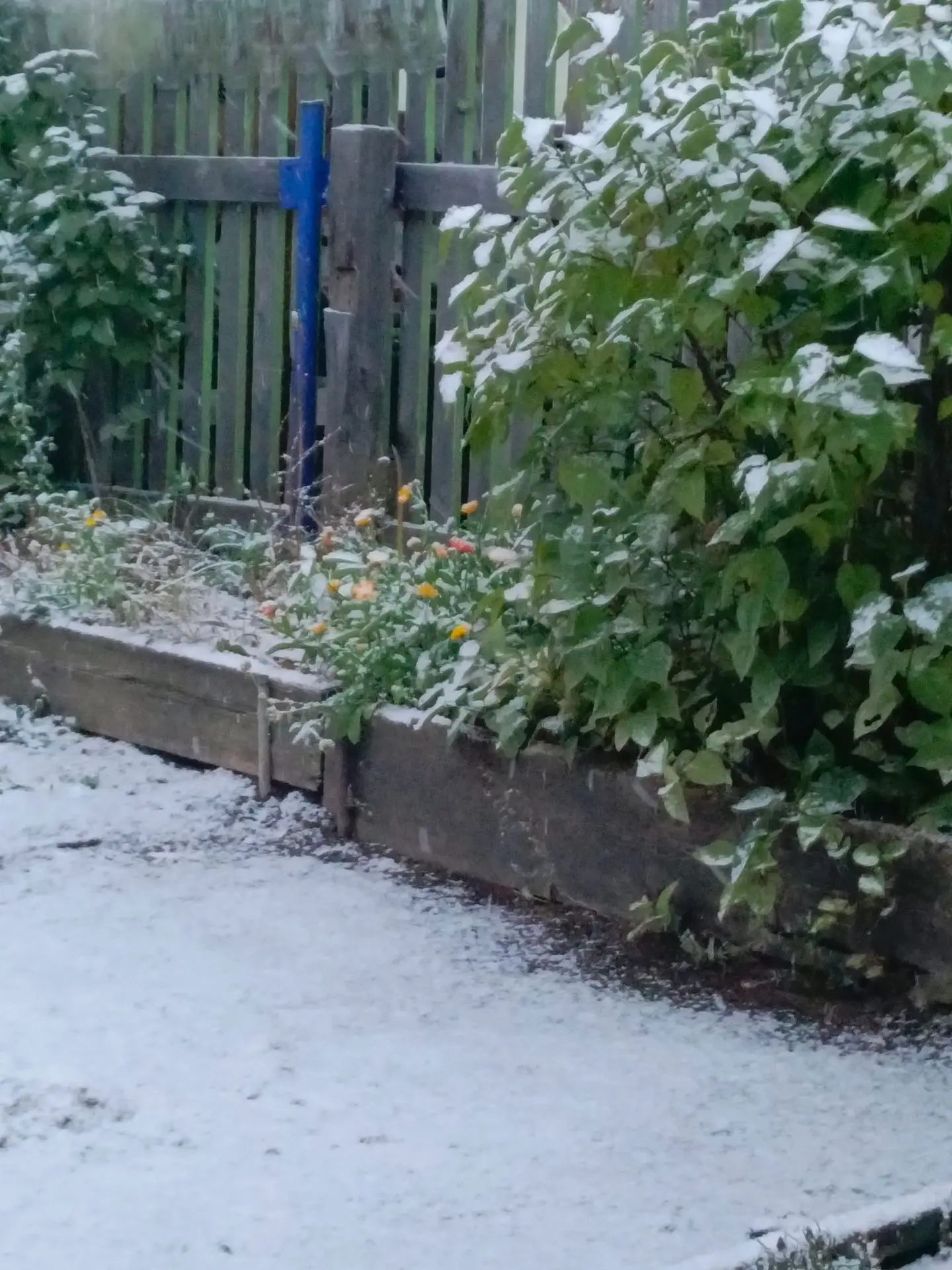 Ох... Всё у нас зима.. ❄️❄️