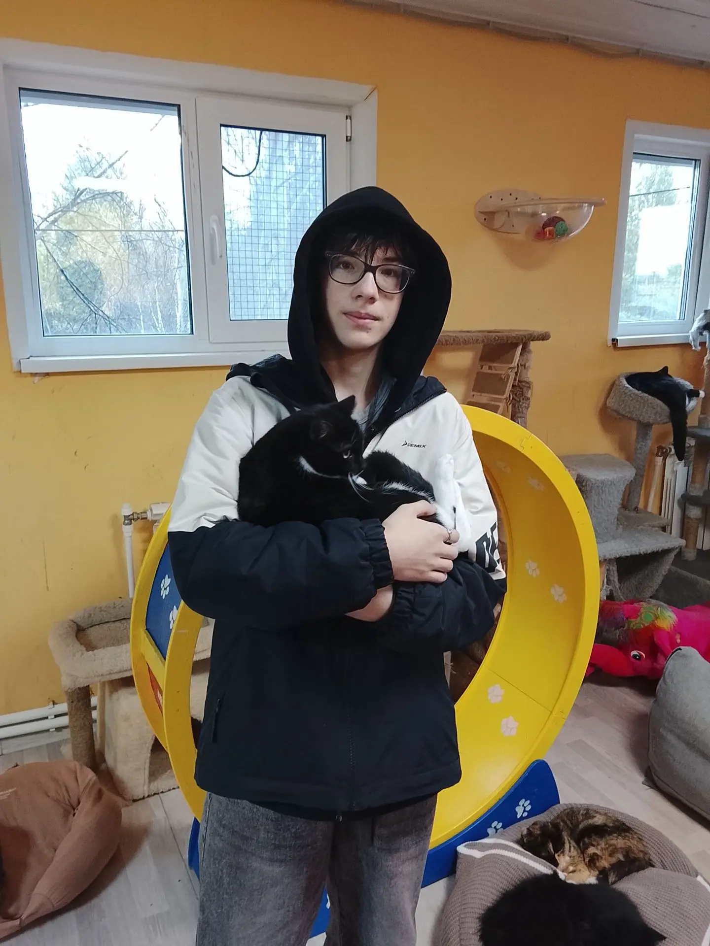 Сегодня наша кошечка обрела хозяев!