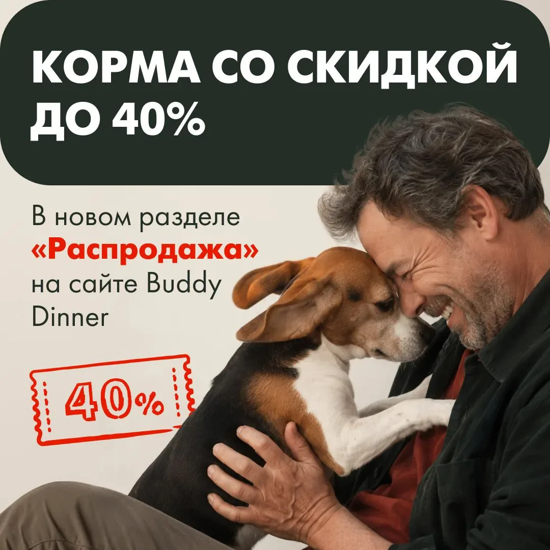 🔥 Открыли раздел распродажи на сайте BUDDY DINNER