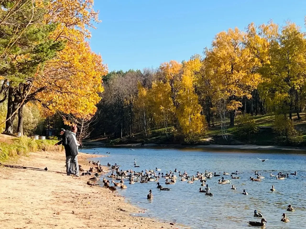 🏞️ Кто ещё не гулял на Комсомольском озере в Дербышках этой осенью?