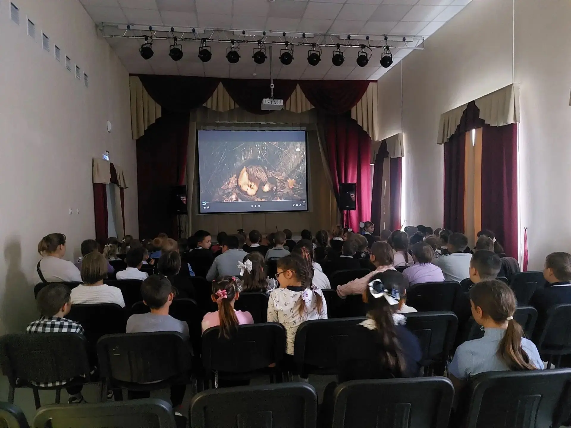 ВМЕСТЕ МЫ — СИЛА ДОБРА! ❤️🤝В Сельском доме культуры  с. Сергеевка с 5 по 15 октября пр...