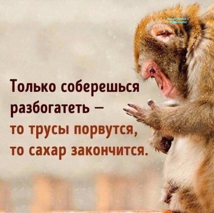 То чебурек купишь🙄