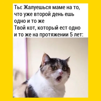 Полный Хохотамбл! Подпишись скорее