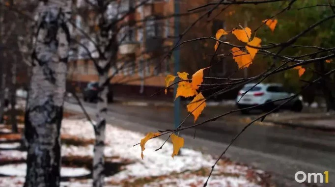 🥶 От +14 до -1: в Омск идёт резкое похолодание