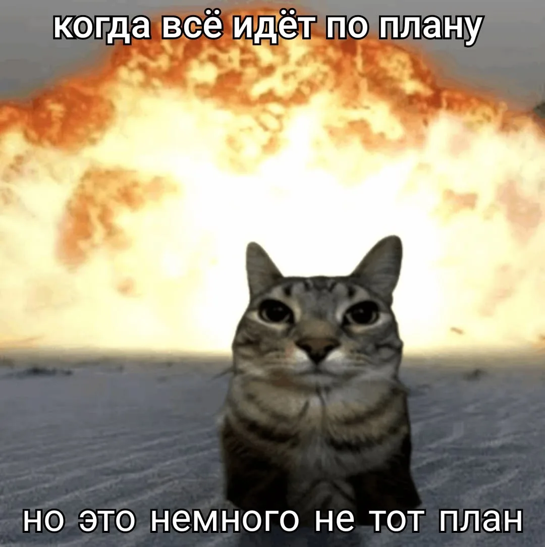 «День Г»: подгузники, кот, закон подлости и финансовый водопад