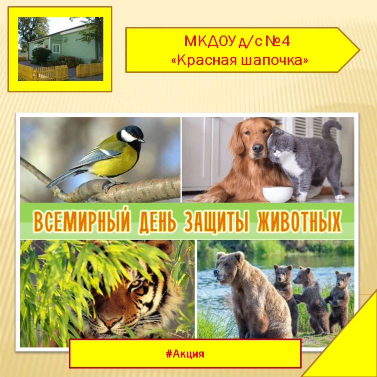 Животные предельно беззащитны