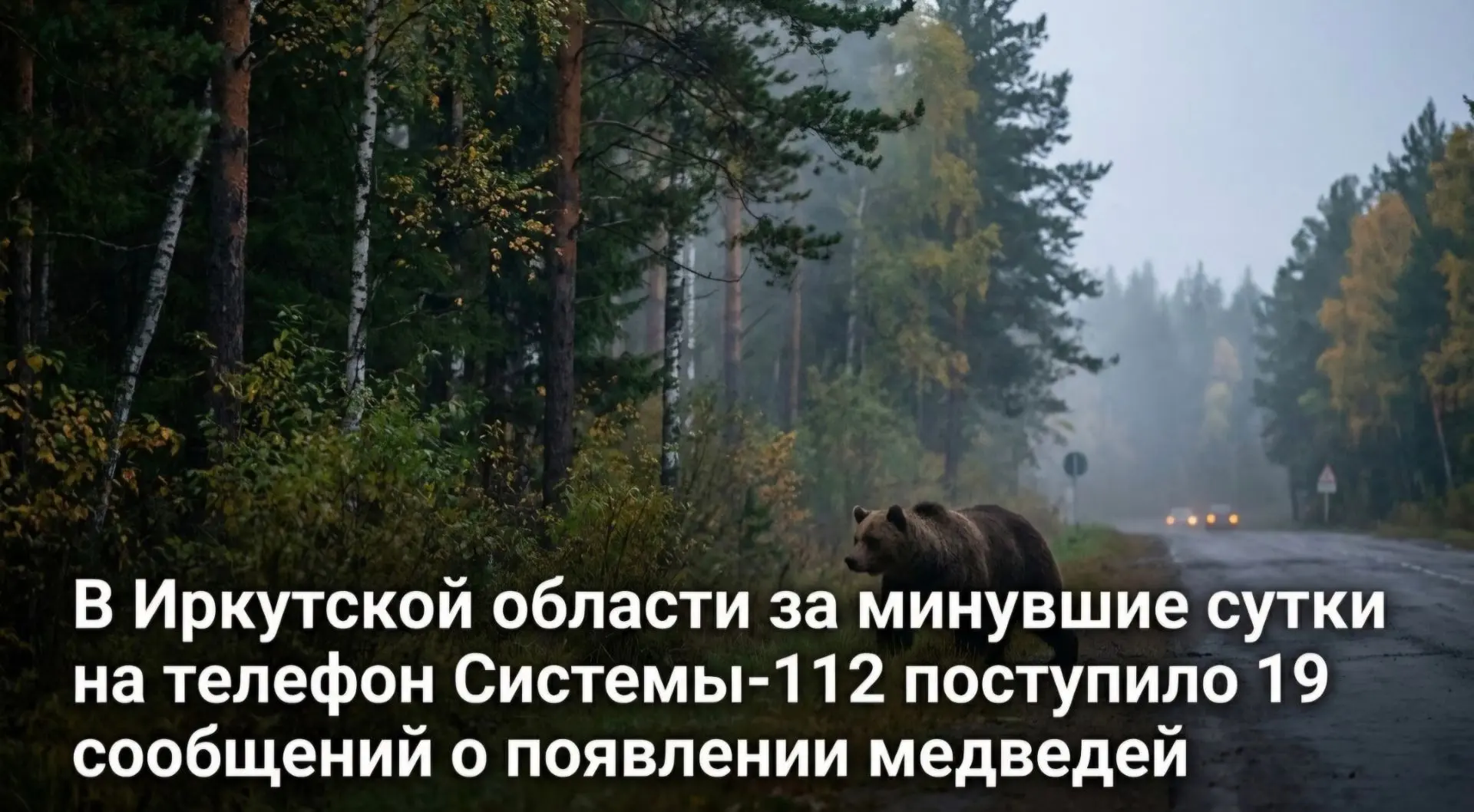 В Иркутской области за минувшие сутки на телефон Системы-112 поступило 19 сообщений о п...