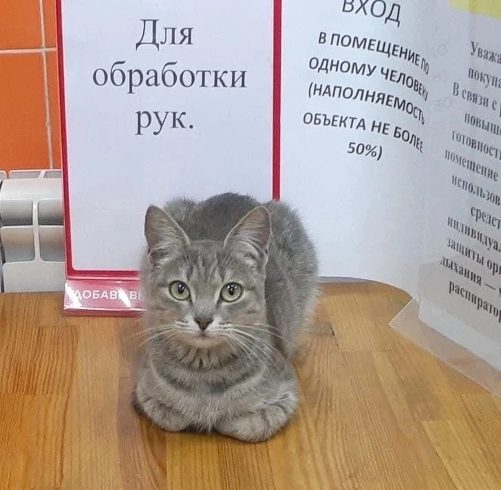 Интересный антисептик  🧴