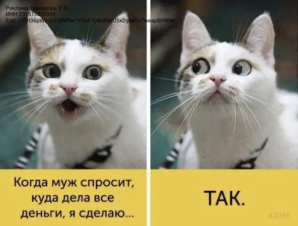 Давайте представим, что завтра у вас не будет доступа к деньгам мужа.