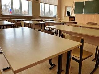 После осенних каникул в школах введут новый обязательный предмет