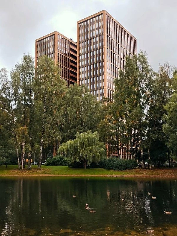 🏙 Осенний Манхэттен в Петербурге