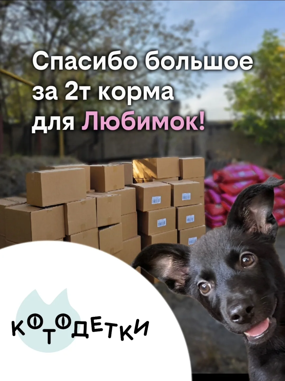 Друзья, спасибо вам огромное за помощь в оплате доставки 2 тн сухого корма, который нам...
