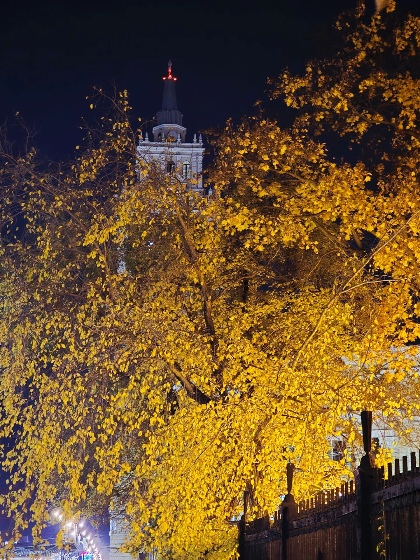 ✨️🍂Сюжеты воронежской осени