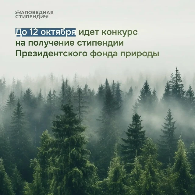 Уральцы могут побороться за стипендию Президентского фонда природы