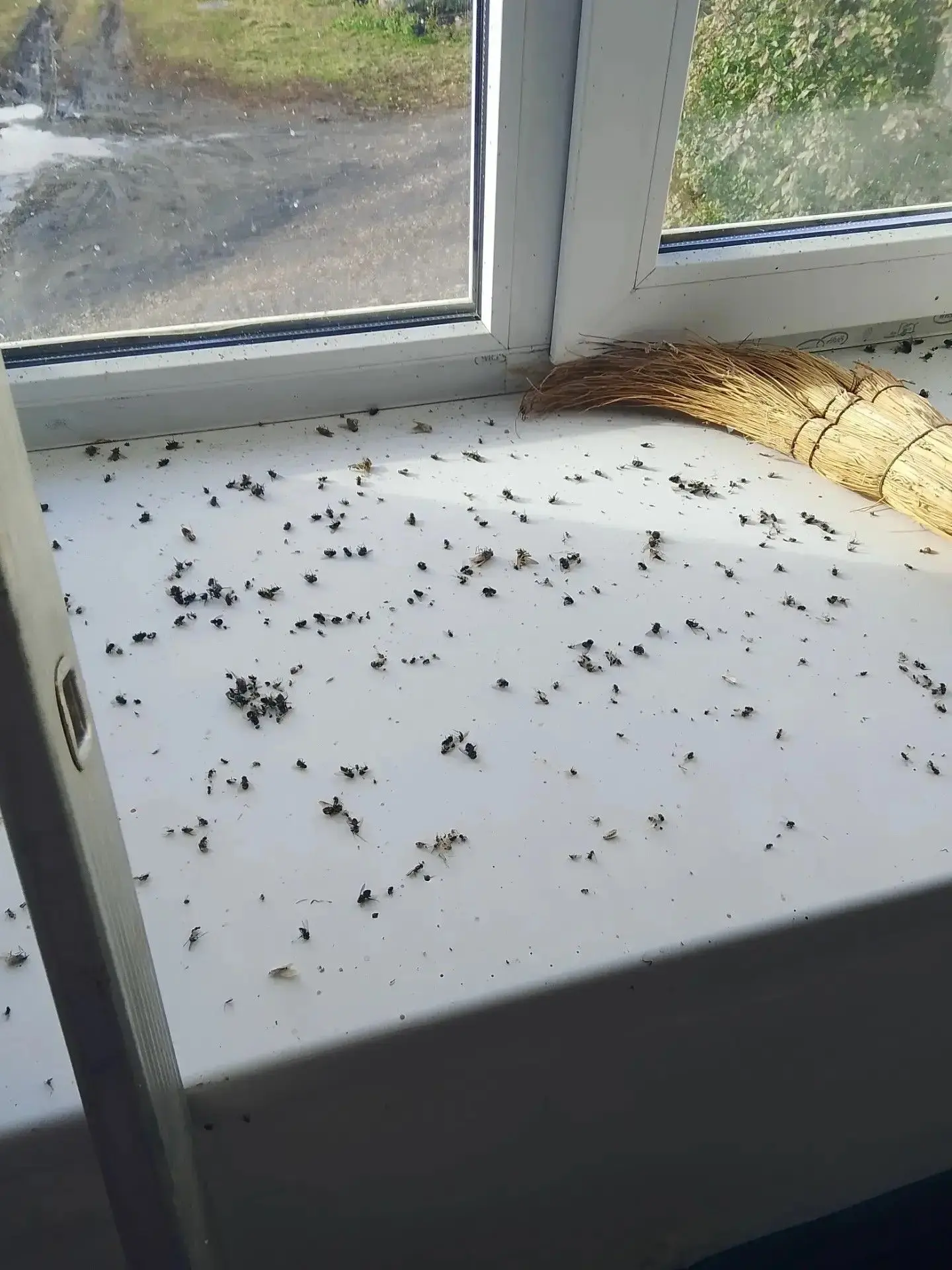 Помыли окна