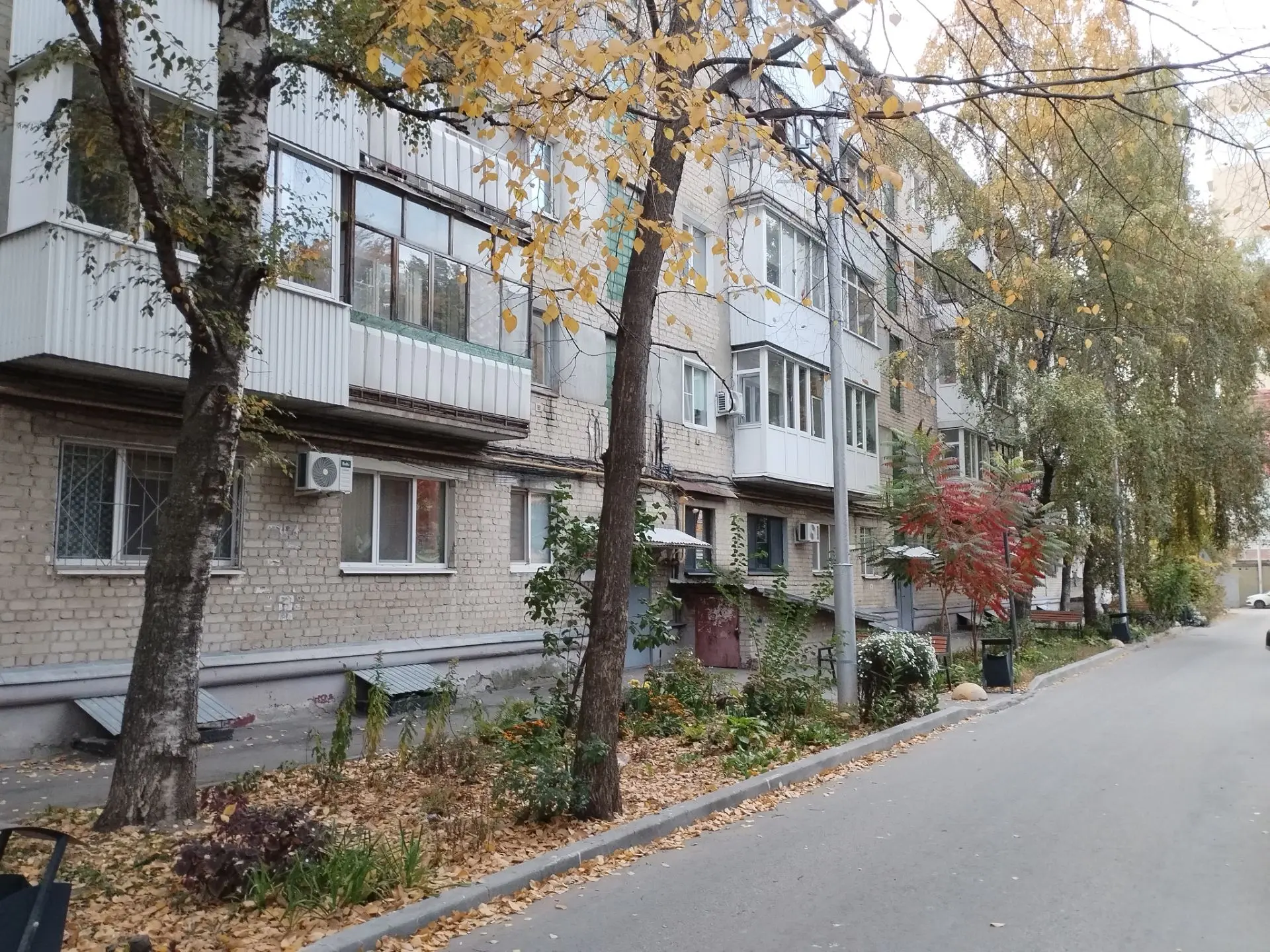 Осень в саратовском дворе. 🍁