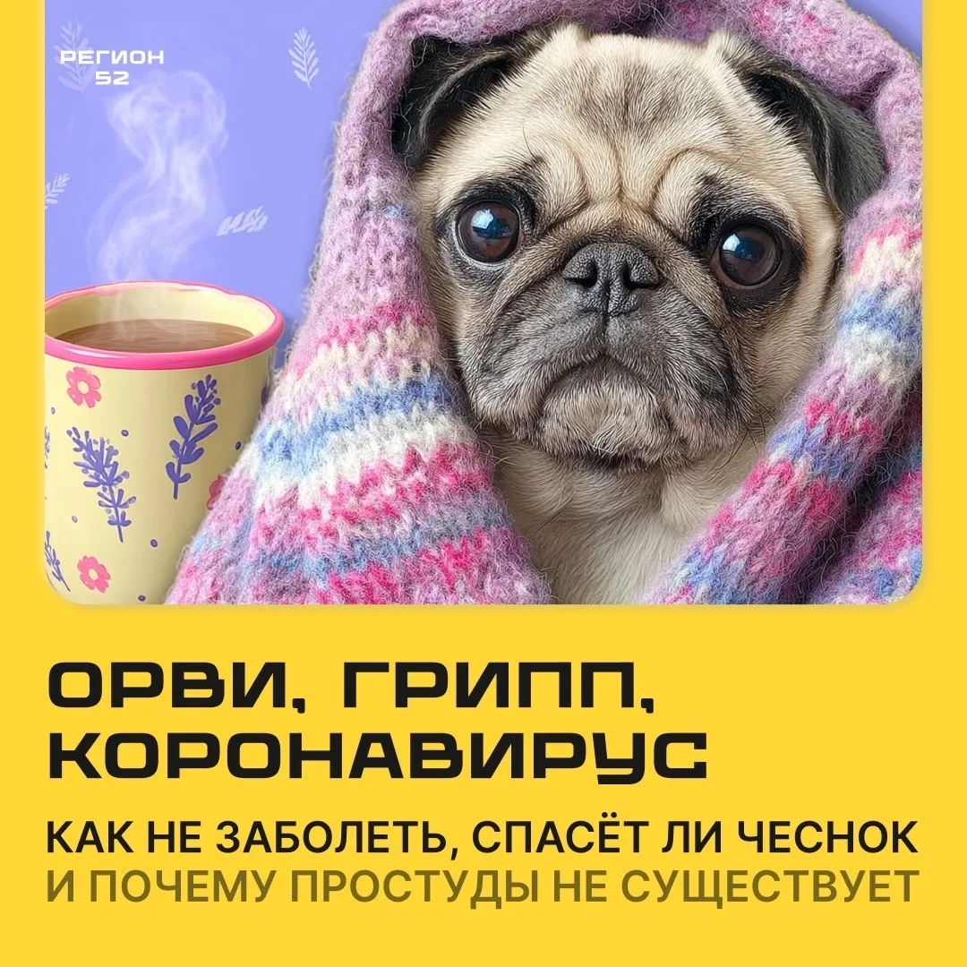 🤧Сезон ОРВИ и гриппа вошёл в чат.