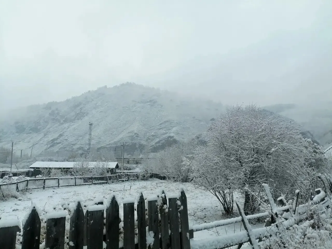 Первый снег…❄️