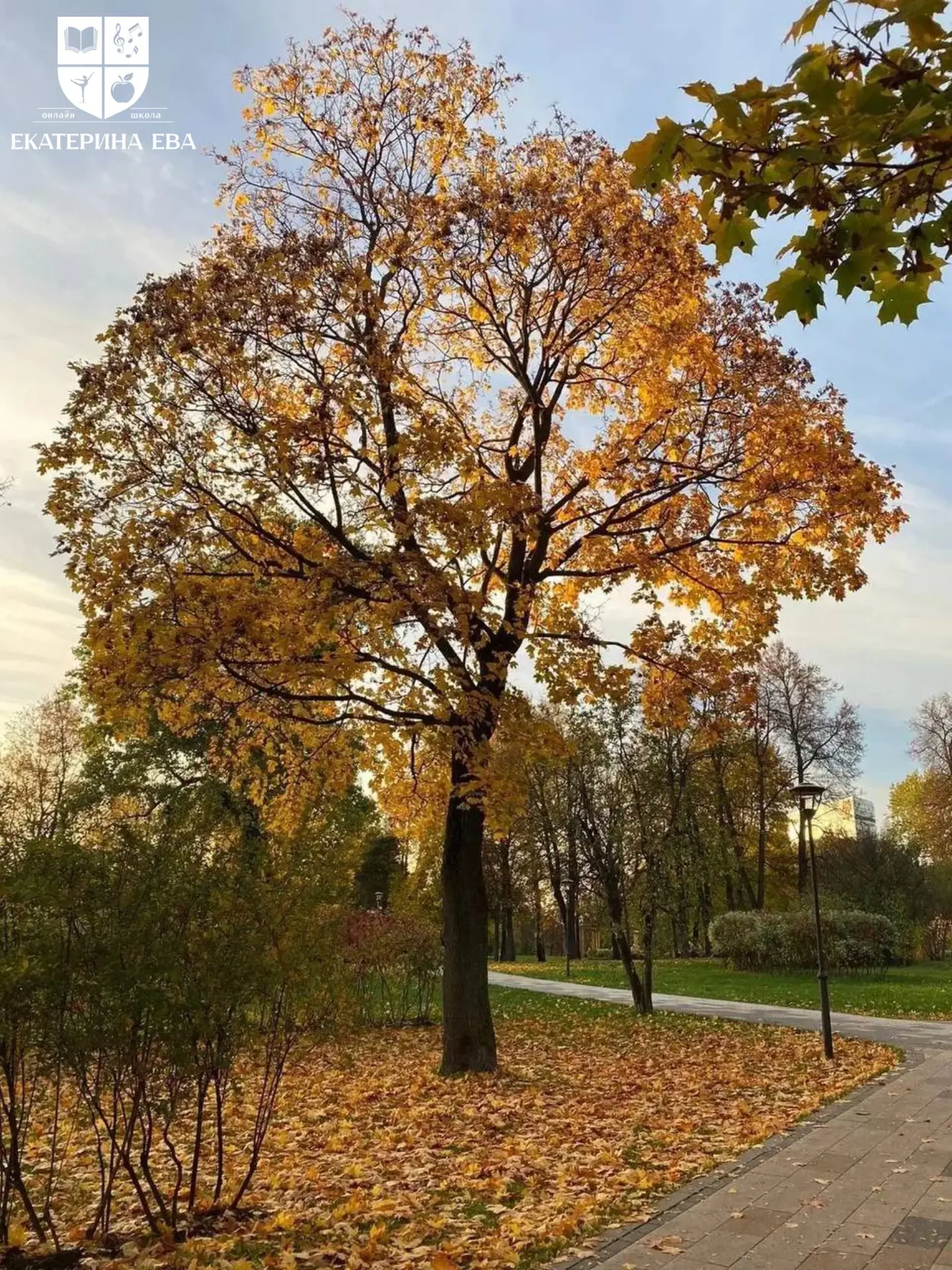 🍂 На этой неделе уже середина осени! А впереди ноябрь — один из самых непростых для ор...