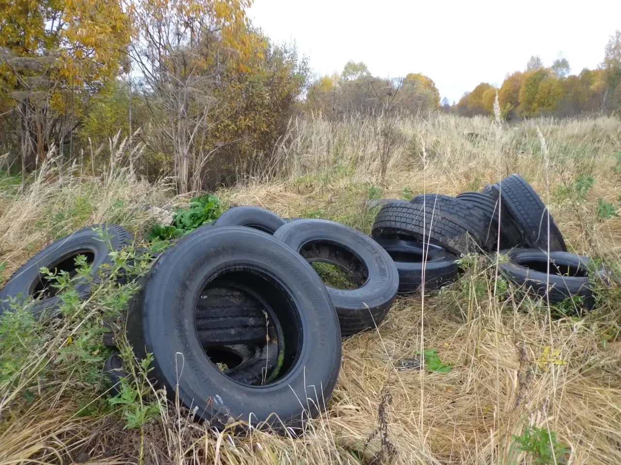 На прошлой неделе за Крестовский лесопарк возле д. Пожнище было выгружено две кучи б.у....