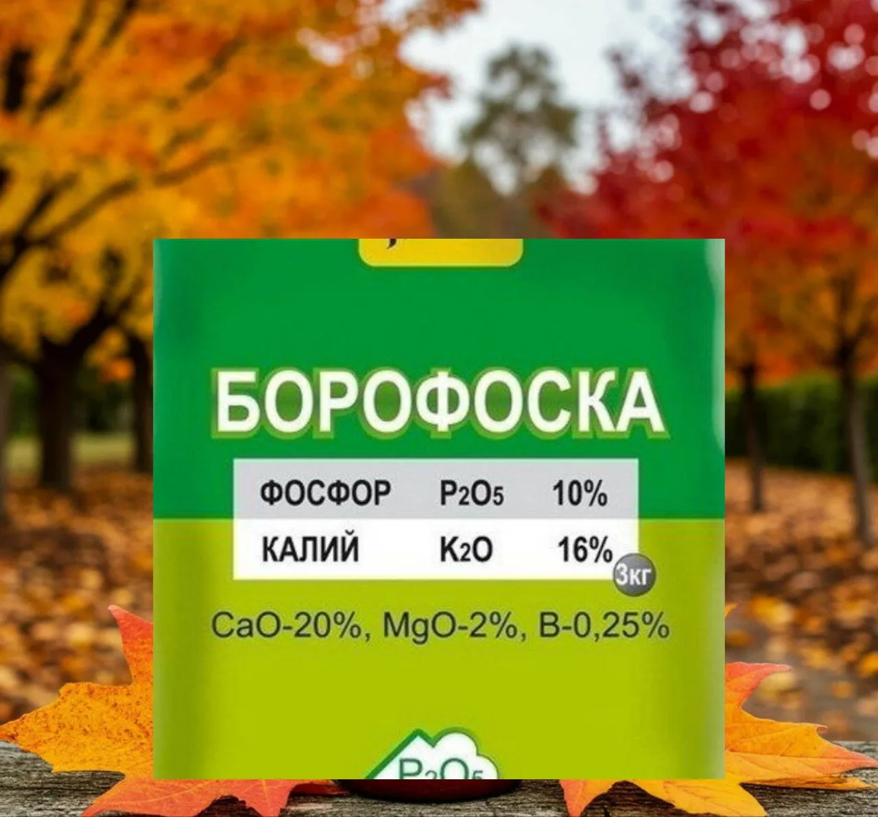 🍂 Борофоска: осеннее удобрение, которое работает на будущий урожай.