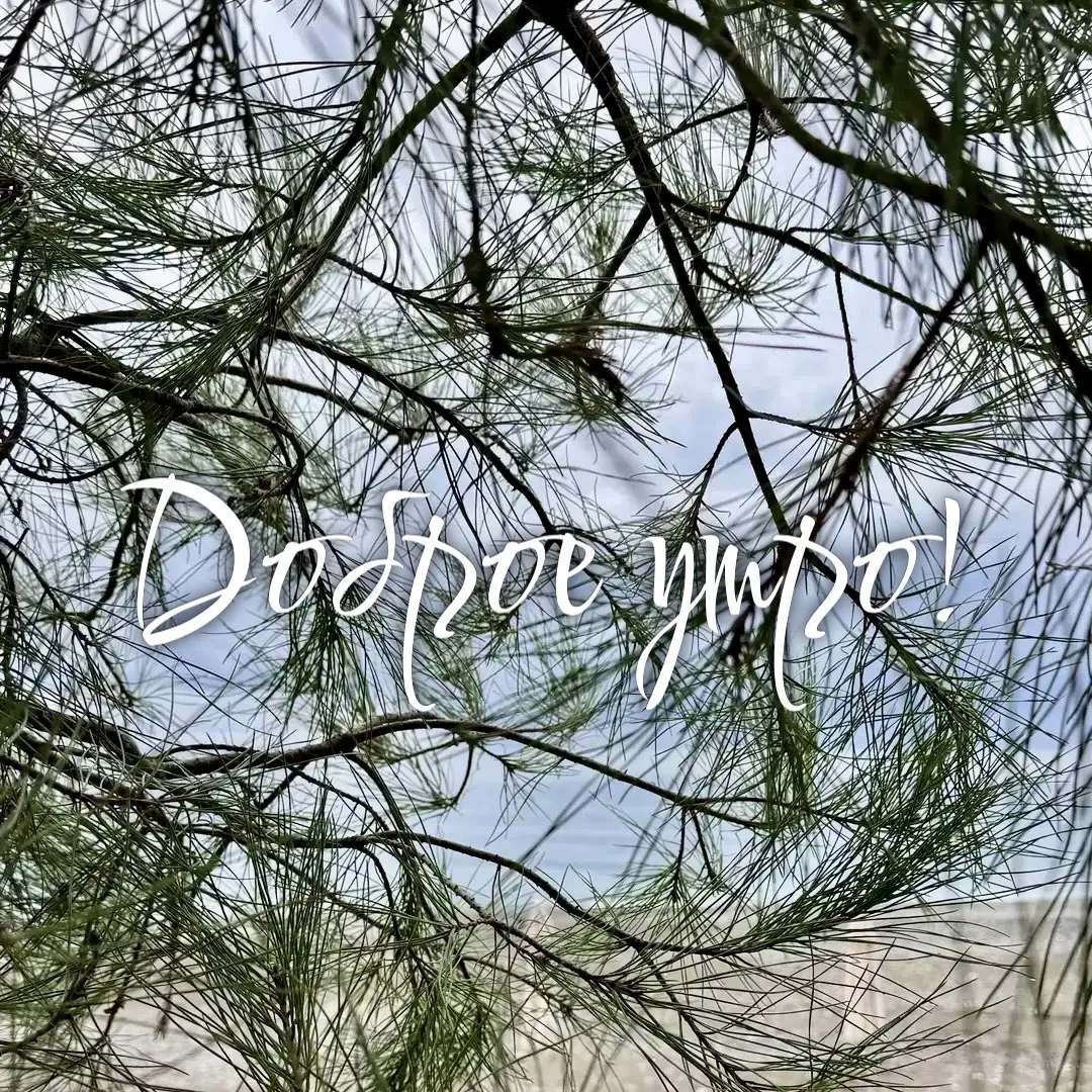 ⚡️ УЗНАЙ ПЕРВЫМ 🌍✈️