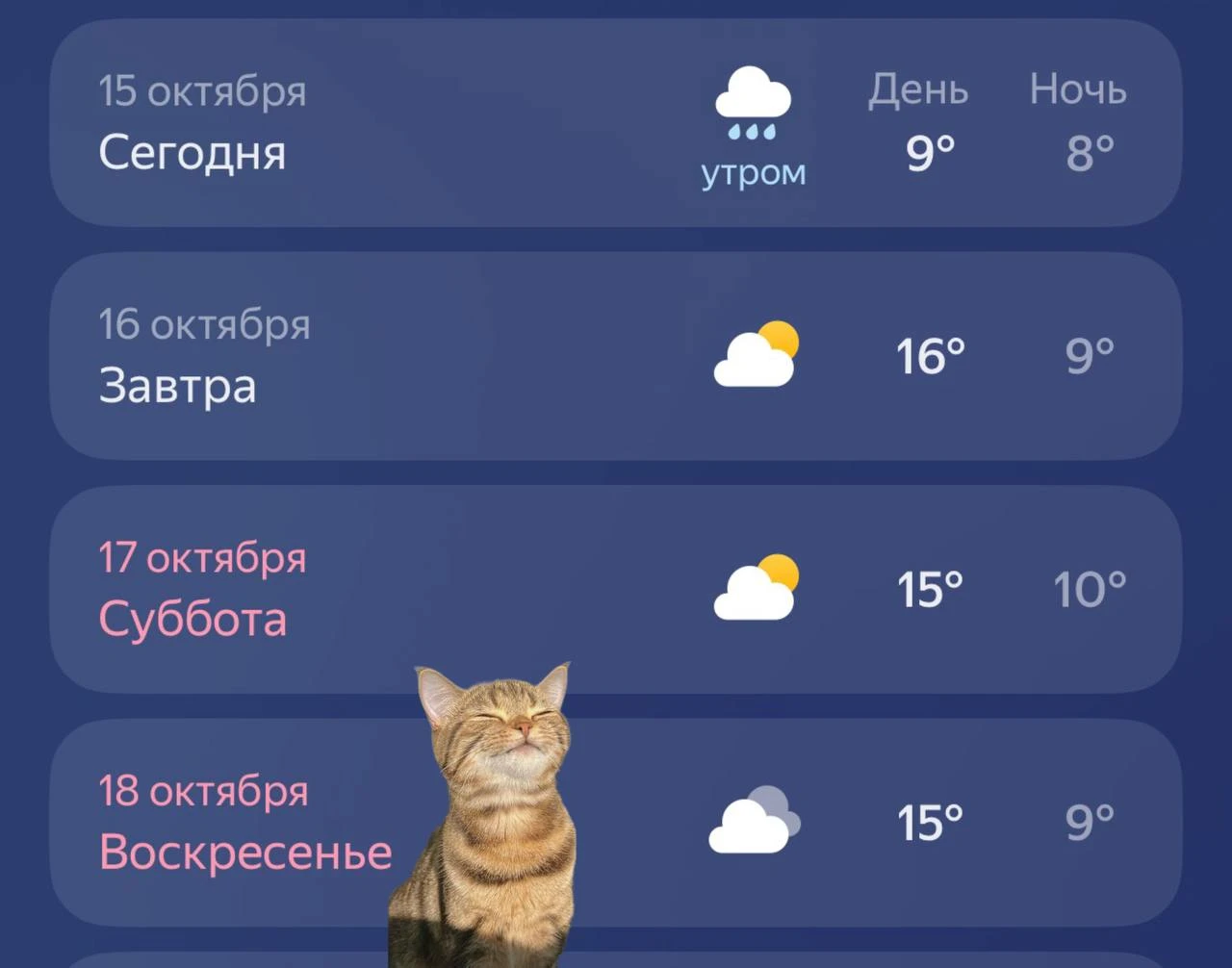 Сентябрьское тепло наступит в Москве в конце недели, — синоптики