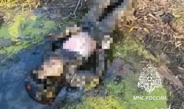 ❗️В Челнах на Каме найдено тело мужчины