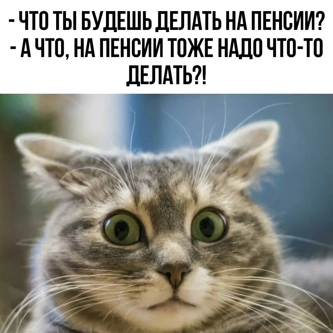 Женский юмор - Подписаться
