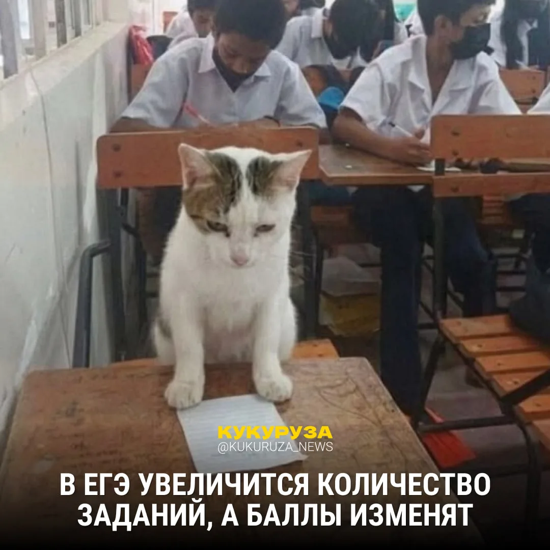 ЕГЭ изменят в 2027 году