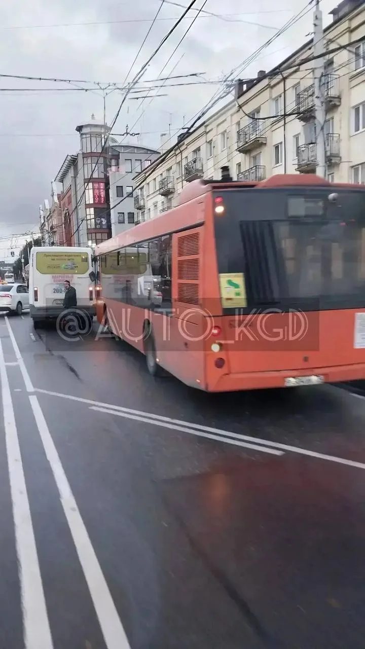 На Ленинском у гостиницы рыжий и маршрутка остановку не поделили.