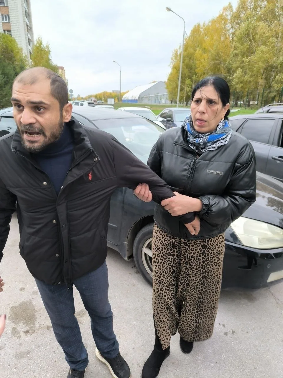 В Новосибирске цыган сбил собаку и потребовал от её хозяйки оплатить разбитый бампер