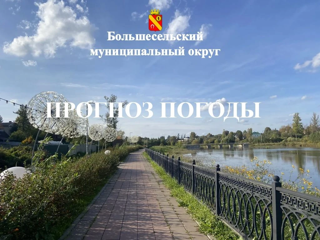 Прогноз погоды на 10 октября в Большесельском округе