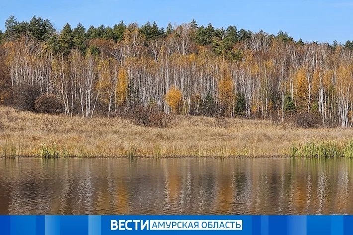 Осадки на севере и солнце в Благовещенске: прогноз погоды на 13 октября