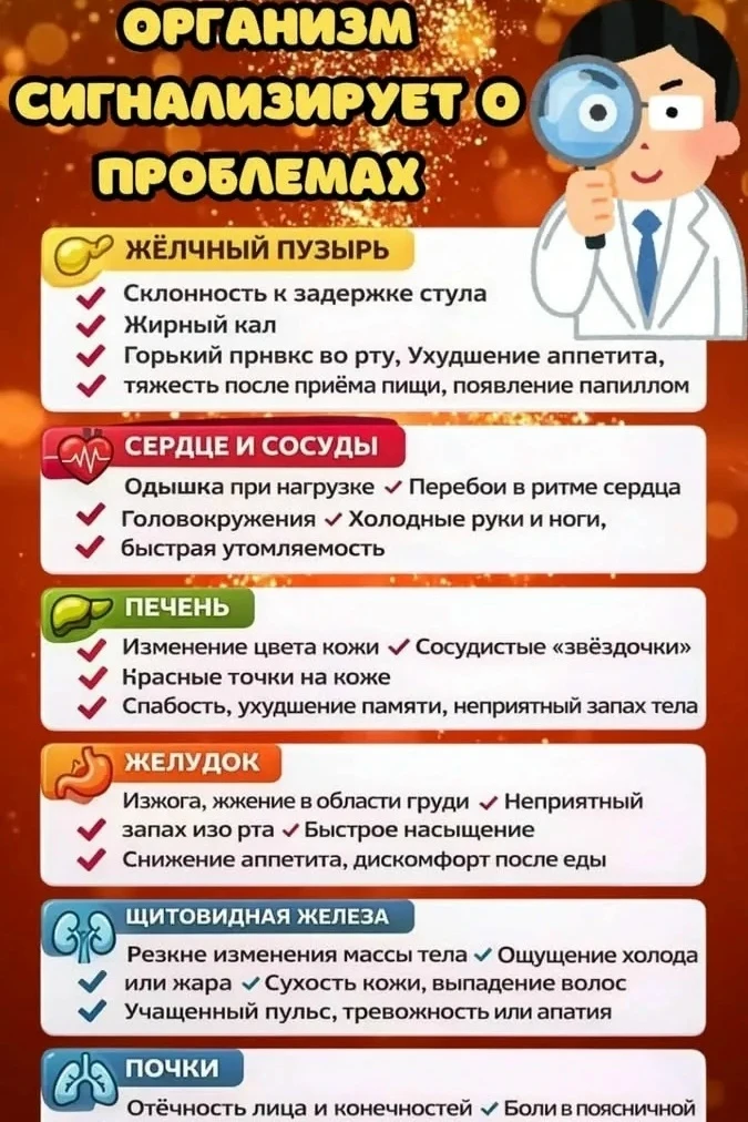 Спасибо за реакции 🔥 👍❤️