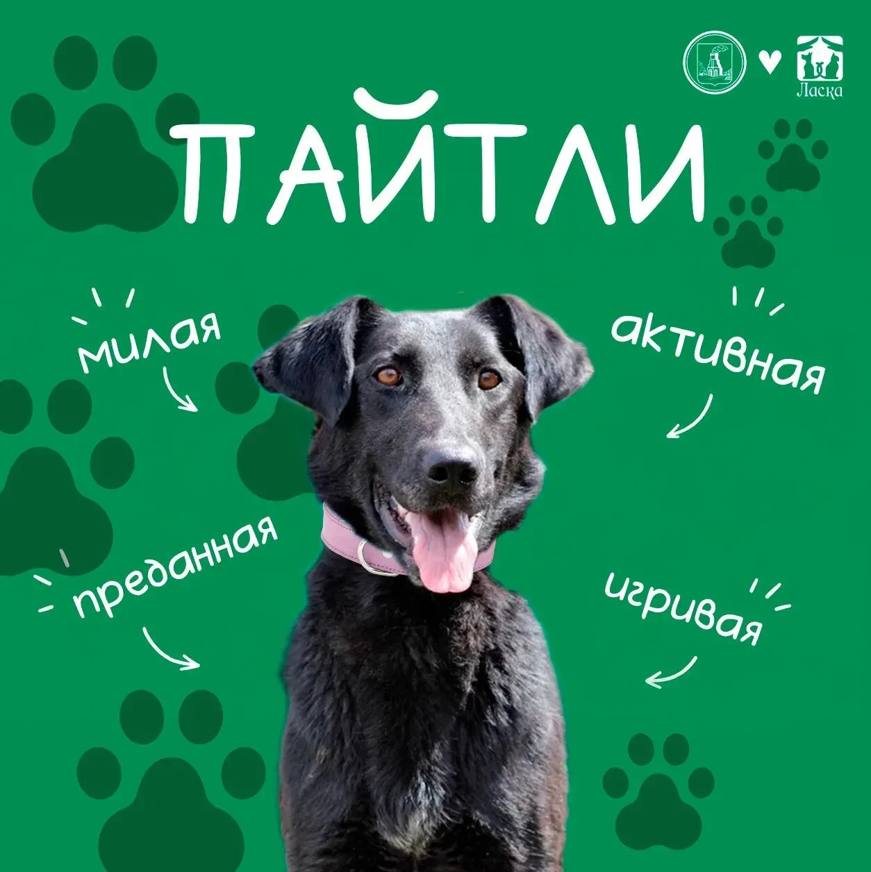Дорогие подписчики! 🤍