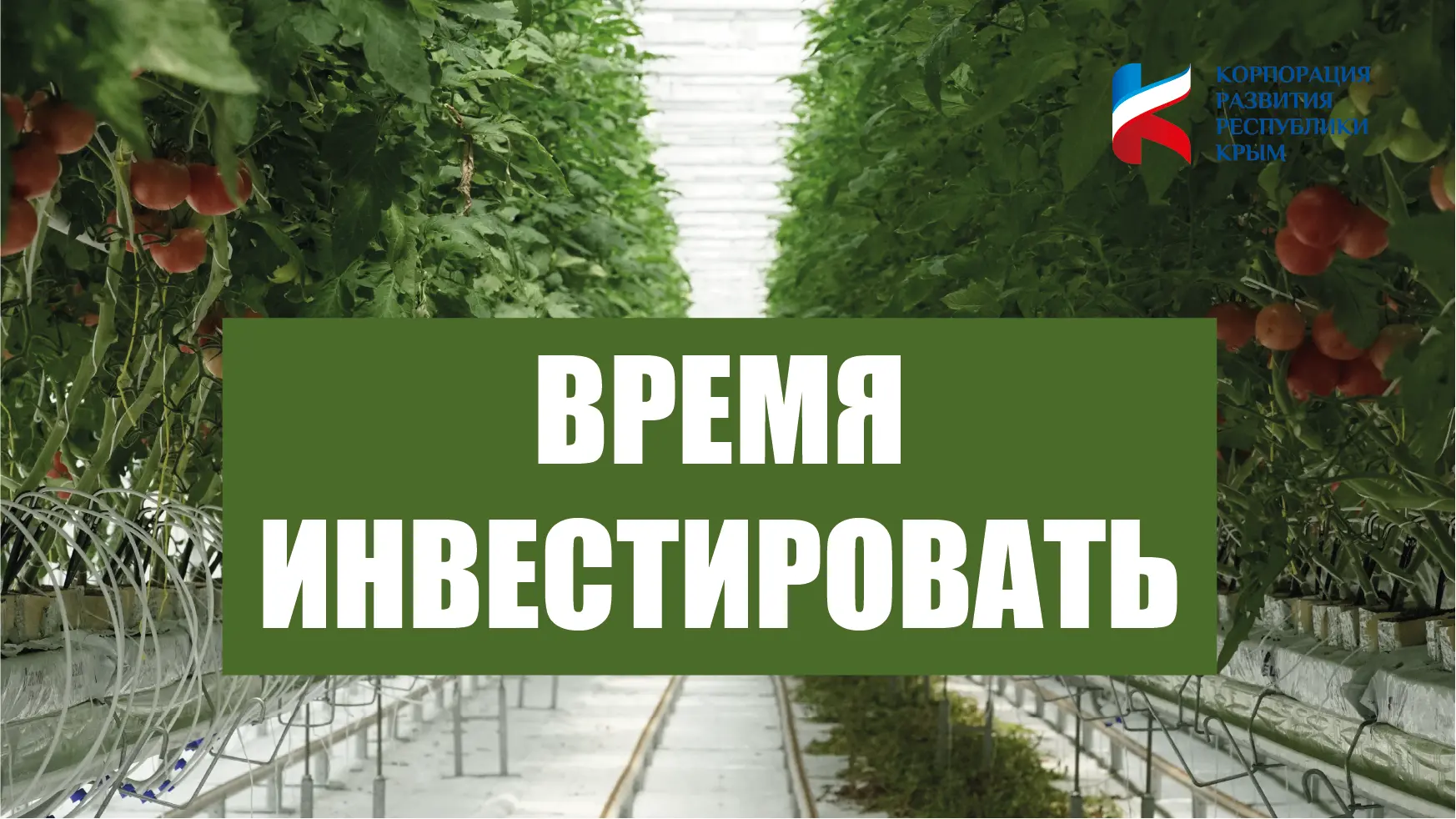 Время инвестировать!
