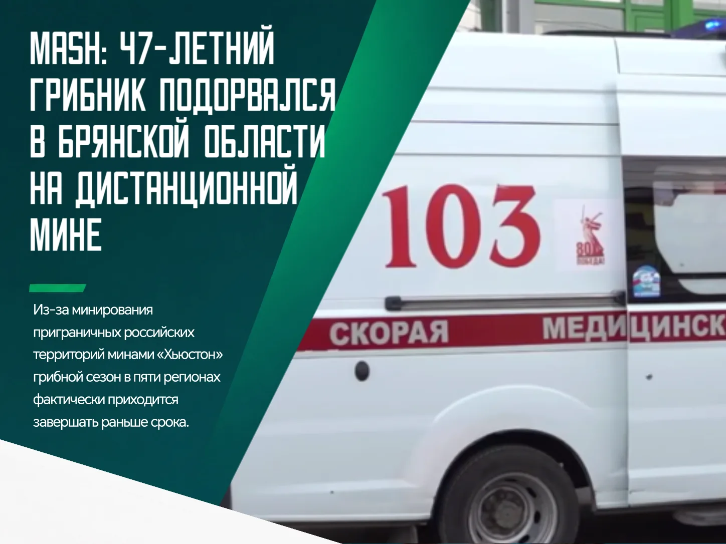 😱 В районе Жуковки в Брянской области жертвой такой мины стал 47-летний местный житель...