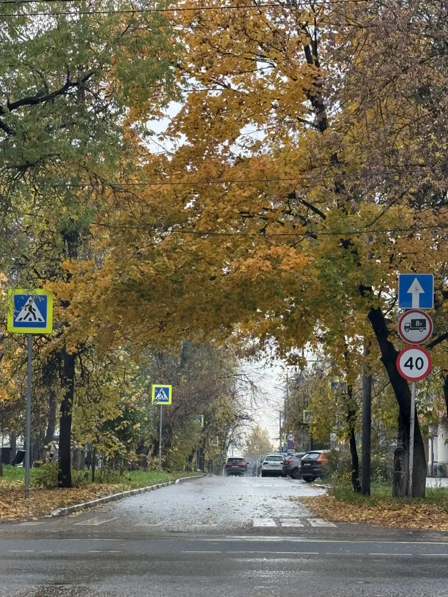 Пасмурно, возможен дождь и до +10° ожидаются сегодня в Щёлково 🌧️
