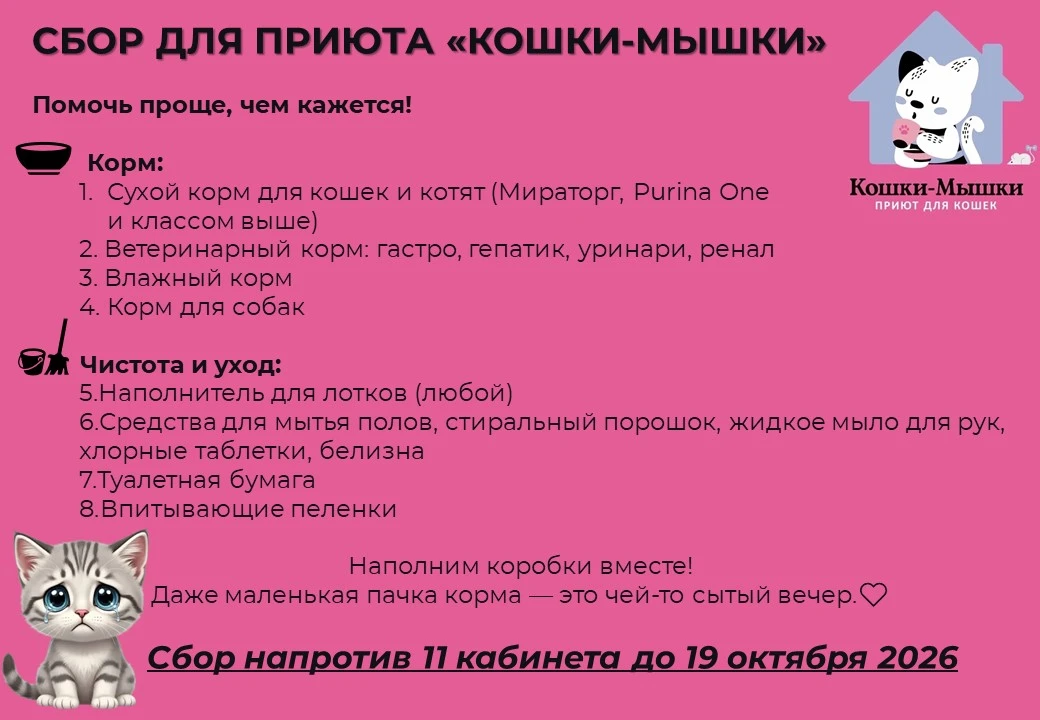 Друзья, мы объявили сбор для приюта «Кошки-мышки», но пока, к сожалению, помощь почти н...