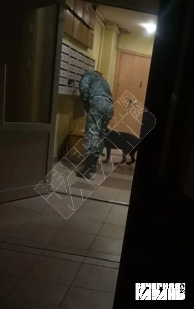 😳Продолжение истории с сумкой, перепугавшей жителей многоэтажки в Казани