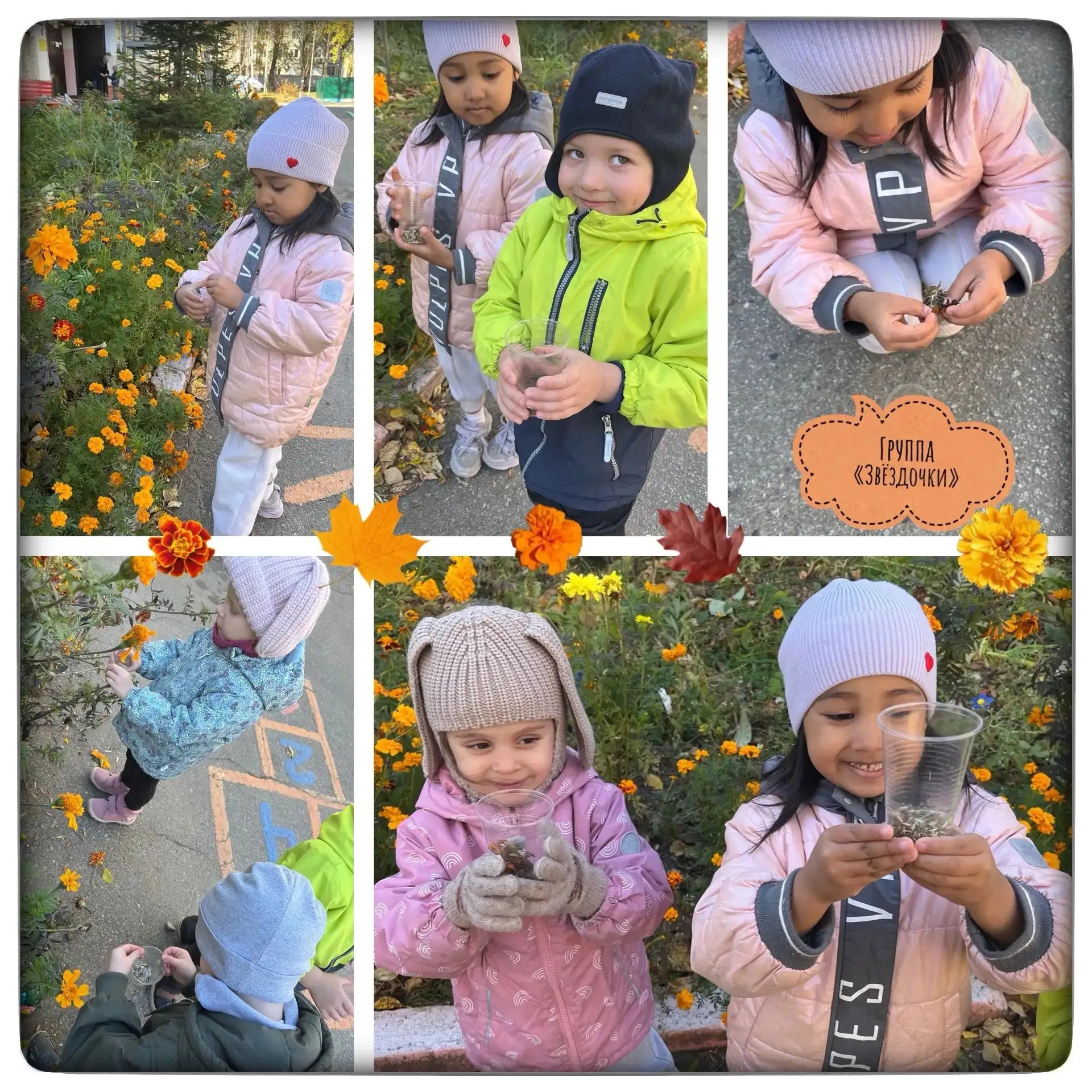 🍁 Наша золотая осень в одном коллаже! 🍂