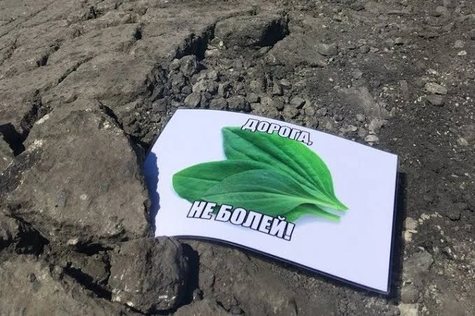 Звучит как начало анекдота: В Башкирии утвердили программу по защите дорог